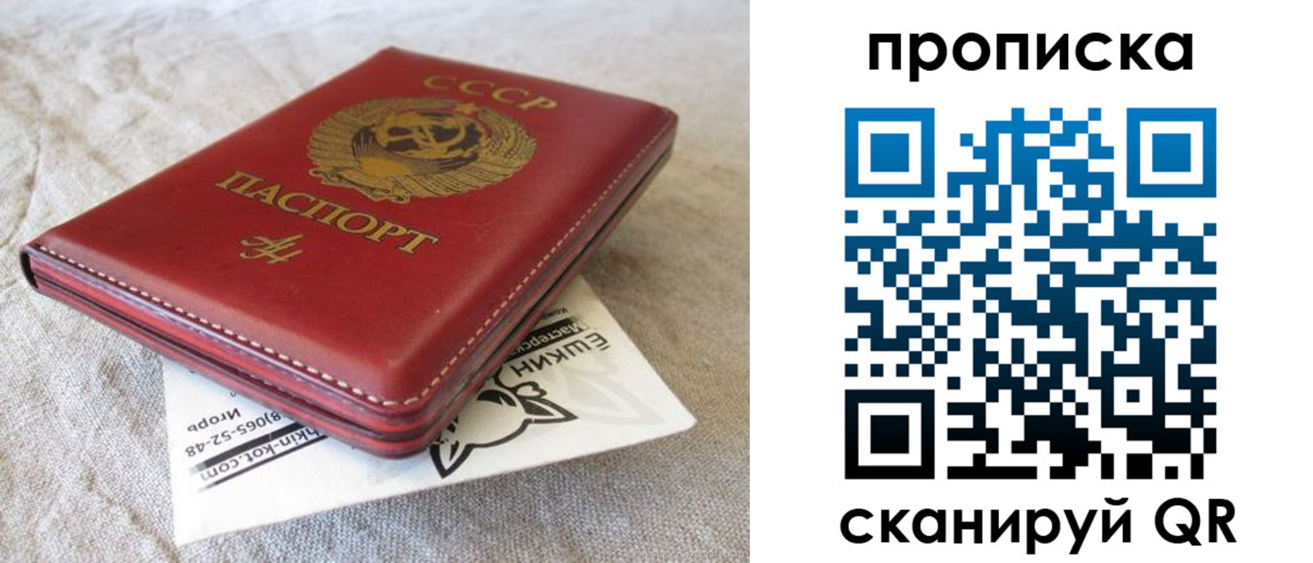 прописка для школы в Видном